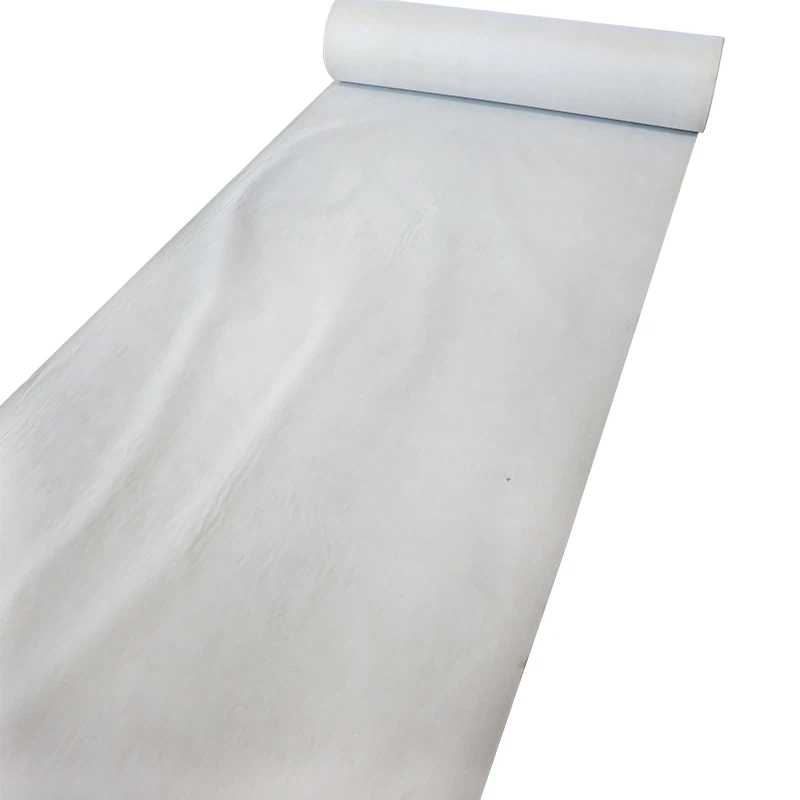 Polimēru hidroizolācija